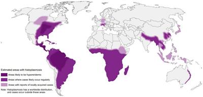 Histoplasmosis in patients living with HIV in Europe: review of literature